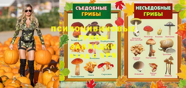 прущие грибы Куйбышев