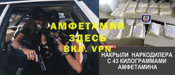 прущие грибы Куйбышев