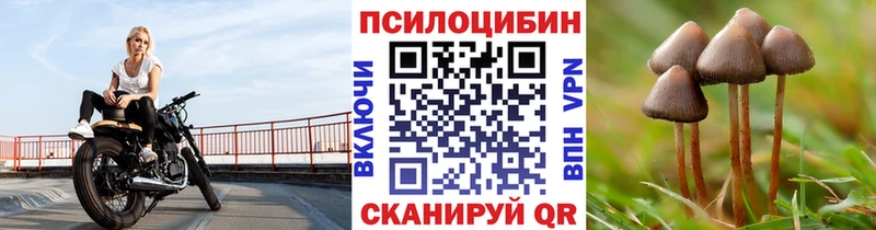 Галлюциногенные грибы мухоморы  как найти закладки  ссылка на мегу ССЫЛКА  Таштагол 
